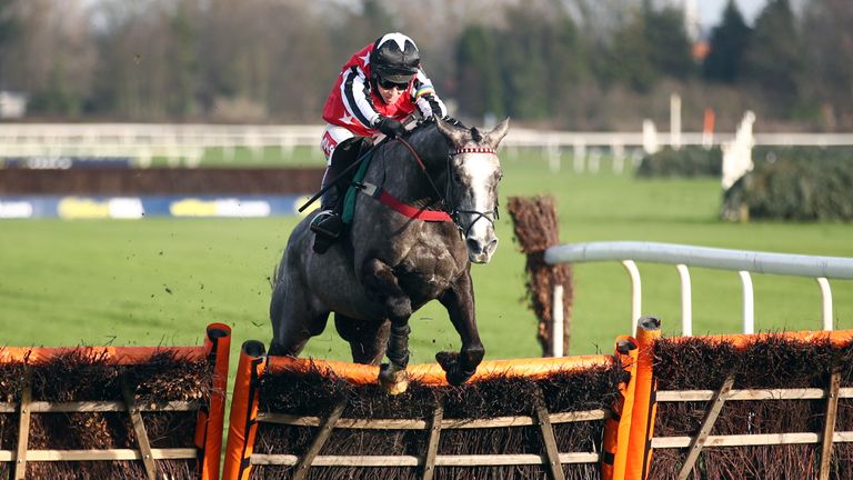 Straw Fan Jack ridden by Richard Johnson 
