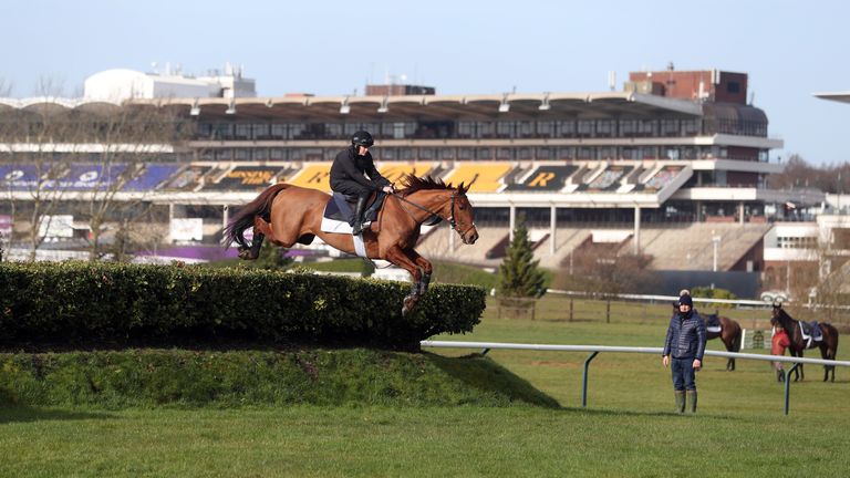 Balko Des Flos gets some practice in over the cross country fences at Cheltenham