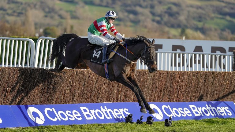Chatham Street Lad will be out until 2022 after sustaining a cut in the Betfair Chase on Saturday