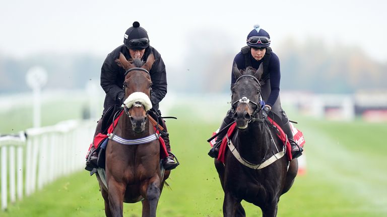 Danny Whizzbang, left, gallops at Newbury ahead of a run in the Ladbrokes Trophy