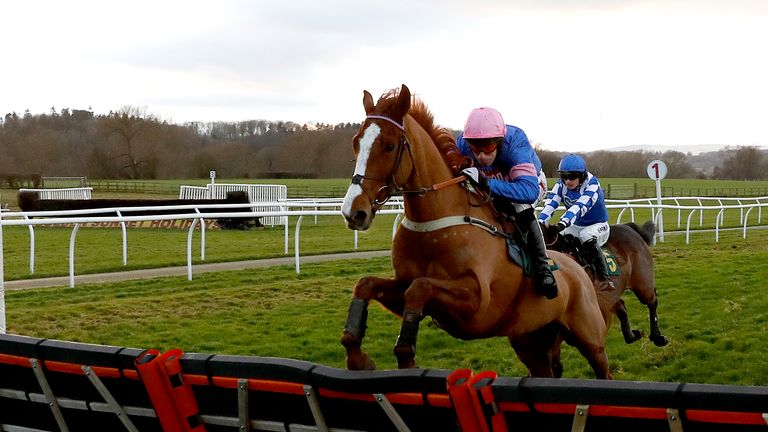 Dingo Dollar monté par Wayne Hutchinson efface la dernière clôture pour remporter la course de haies Le Chalice Maiden, à l'hippodrome de Bangor