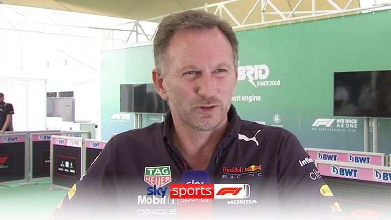 Horner speaks to Sky F1 after verdict