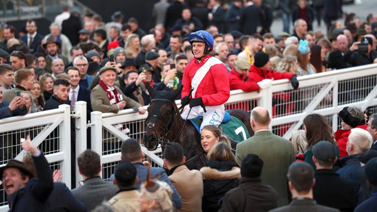 Ferny Hollow is led back into the winner&#39;s enclosure after victory in the Weatherbys Champion Bumper at Cheltenham