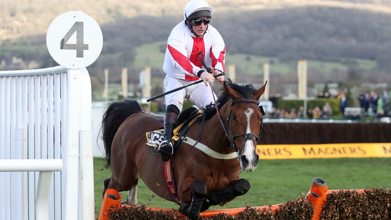 Goshen and Jamie Moore fall at the last hurdle in the 2020 Triumph Hurdle