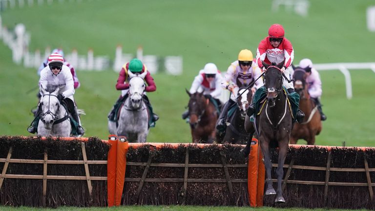 Expected Party (far left) gives chase to Gowel Road at the final hurdle at Cheltenham