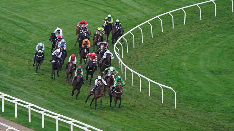 Adagio (green and red) turns into the home straight at Cheltenham in fourth place behind the winner of Greatwood West Cork (black and white)
