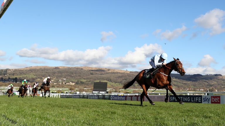 Honeysuckle y Rachael Blackmore dejan atrás al resto de Champion Hurdle en Cheltenham