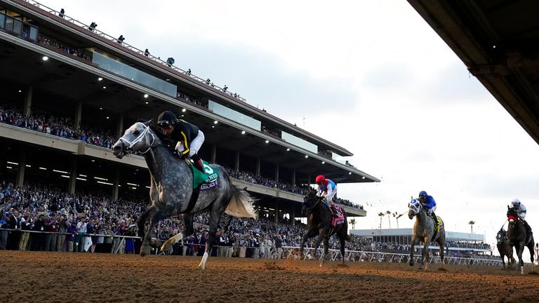 Joel Rosario rides Knicks Go to victory in the Breeders&#39; Cup Classic