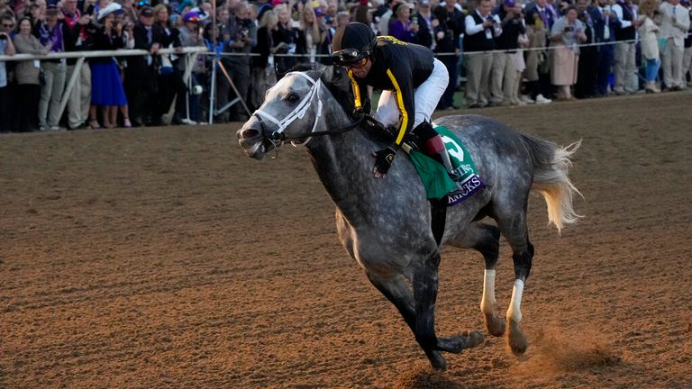 Joel Rosario rides Knicks Go to victory in the Breeders' Cup Classic