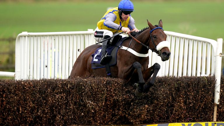 Minella Trump in action for Donald McCain