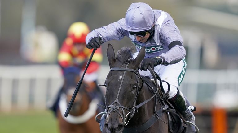 My Drogo in action for the Dan Skelton team