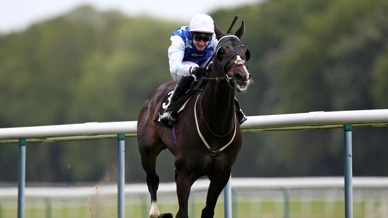 Punchbowl Flyer has won three times this year for trainer Eve Johnson Houghton