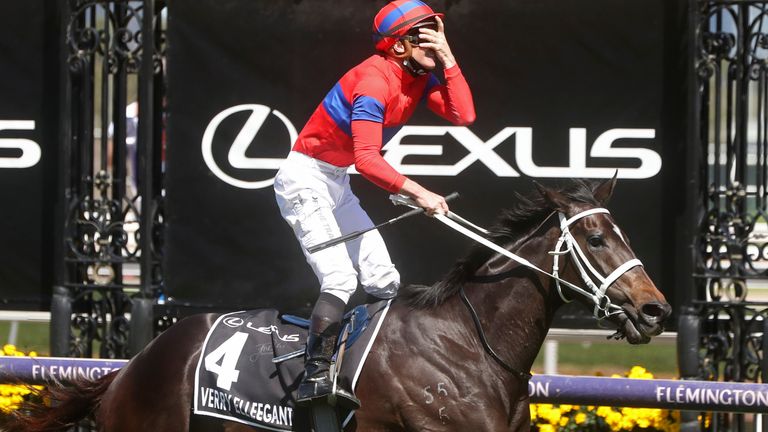 Melbourne Cup winner Verry Elleegant (AP)