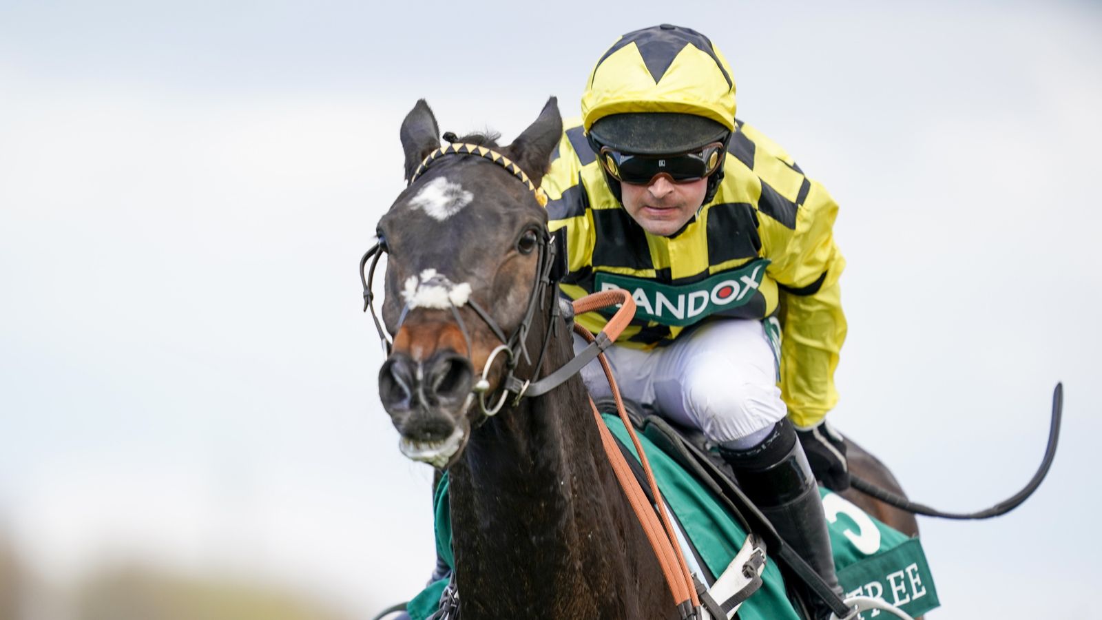 Clarence House Chase Shishkin s Remarkable Ascot Triumph Over Clarence House Chase Shishkin s Remarkable Ascot Triumph Over
