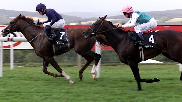 Dansili (right) following home Giant's Causeway in the Sussex Stakes at Goodwood