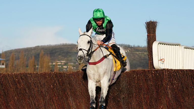 Commodore ran out a 15-length winner at Cheltenham from Mister Fogpatches