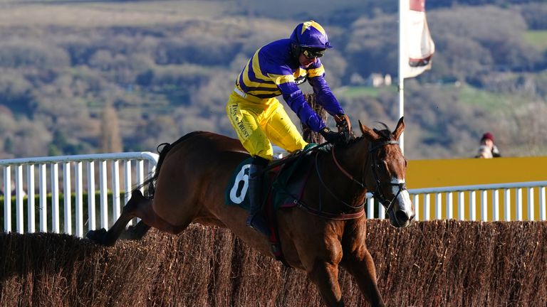 Corach Rambler made it two wins from three starts over fences with victory at Cheltenham on Friday