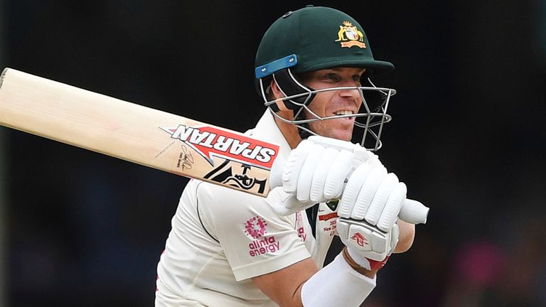 David Warner, Australia, Test cricket (Associated Press)