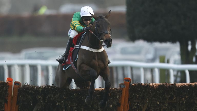 Epatante impressed with her graceful jump as she won the 2021 Christmas competition in Kempton