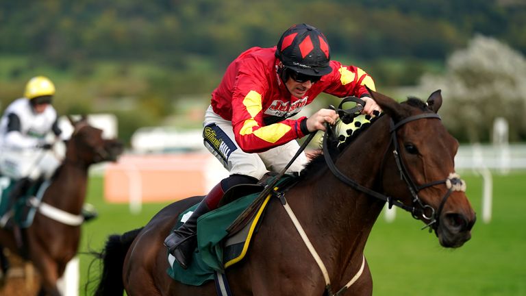 Guard Your Dreams won at Cheltenham in October this year