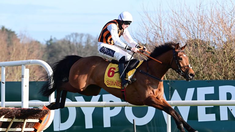 Howyabud and Jack Foley jump the last to win the Savills Maiden Hurdle at Leopardstown