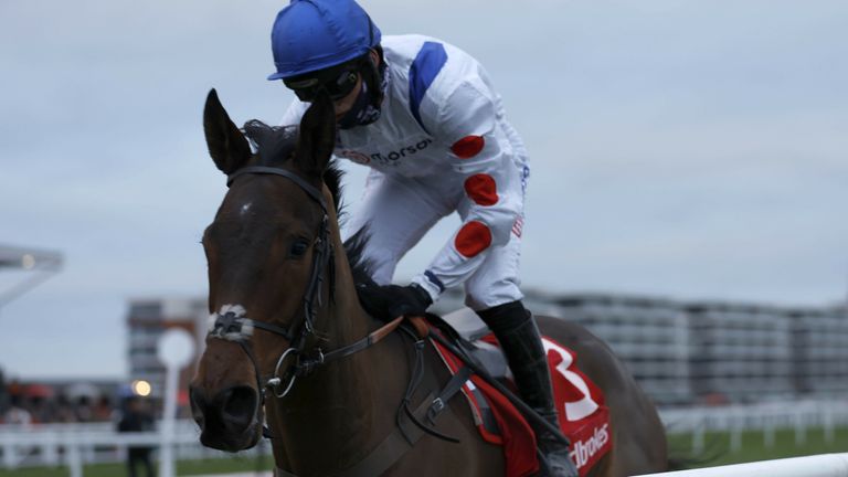 Il Ridoto wins at Newbury on his second start for Paul Nicholls