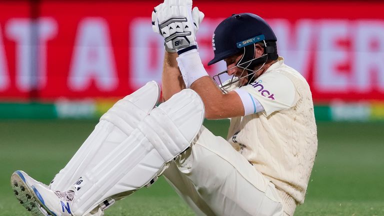 Joe Root was struck shortly before being dismissed late on day four