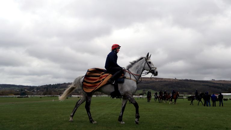 Lake View Lad, stable star of Nick Alexander, at Cheltenham