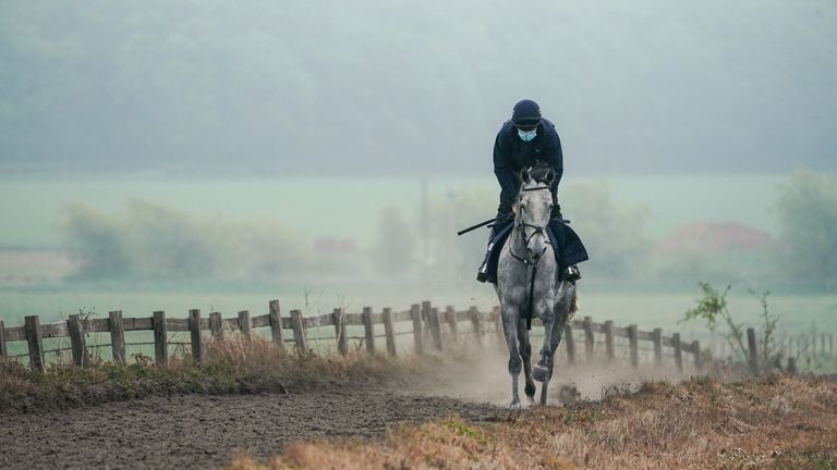 A horse works up the gallops at Rebecca Menzies&#39; Howe Hills base