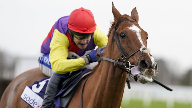 Remastered took a heavy fall when running well in the Ladbrokes Trophy at Newbury