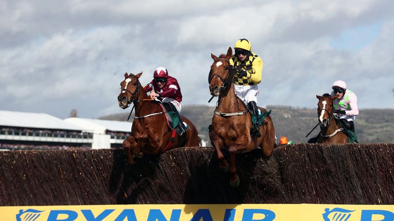 Melon (yellow) and Samcro (maroon) jump the last together at Cheltenham in the 2020 Marsh Novices' Chase