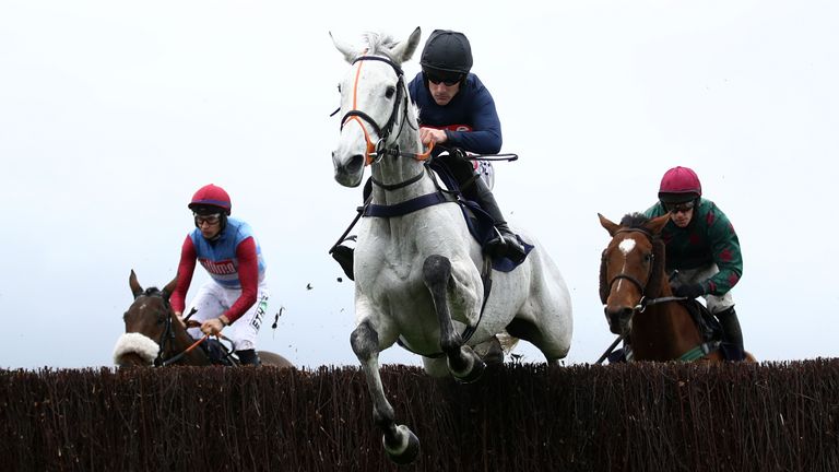Snow Leopardess was an excellent fourth in the National Hunt Chase last season.