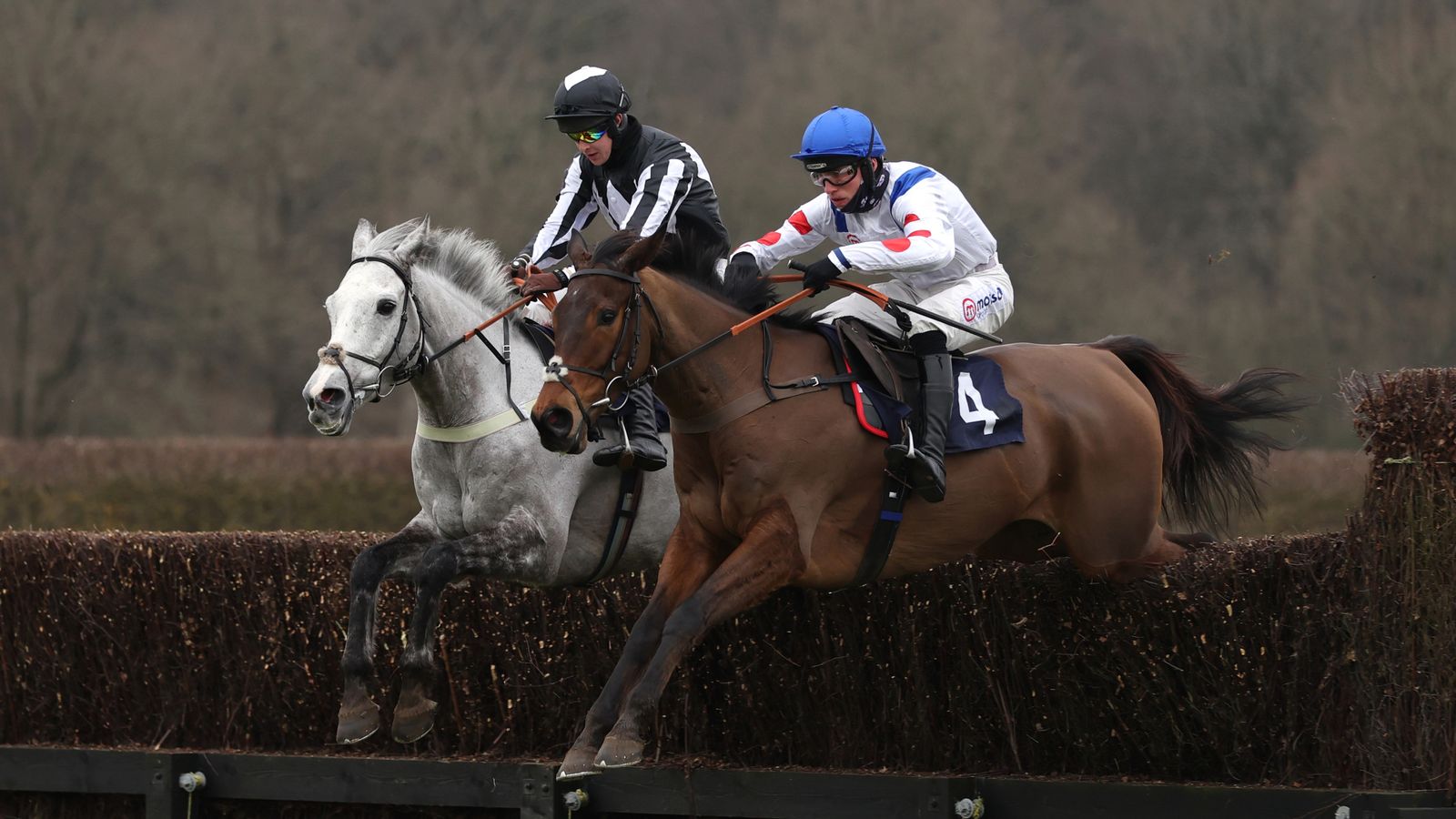 Lingfield: Struggle Lord wins the struggle for amateur chase honours | Racing Information