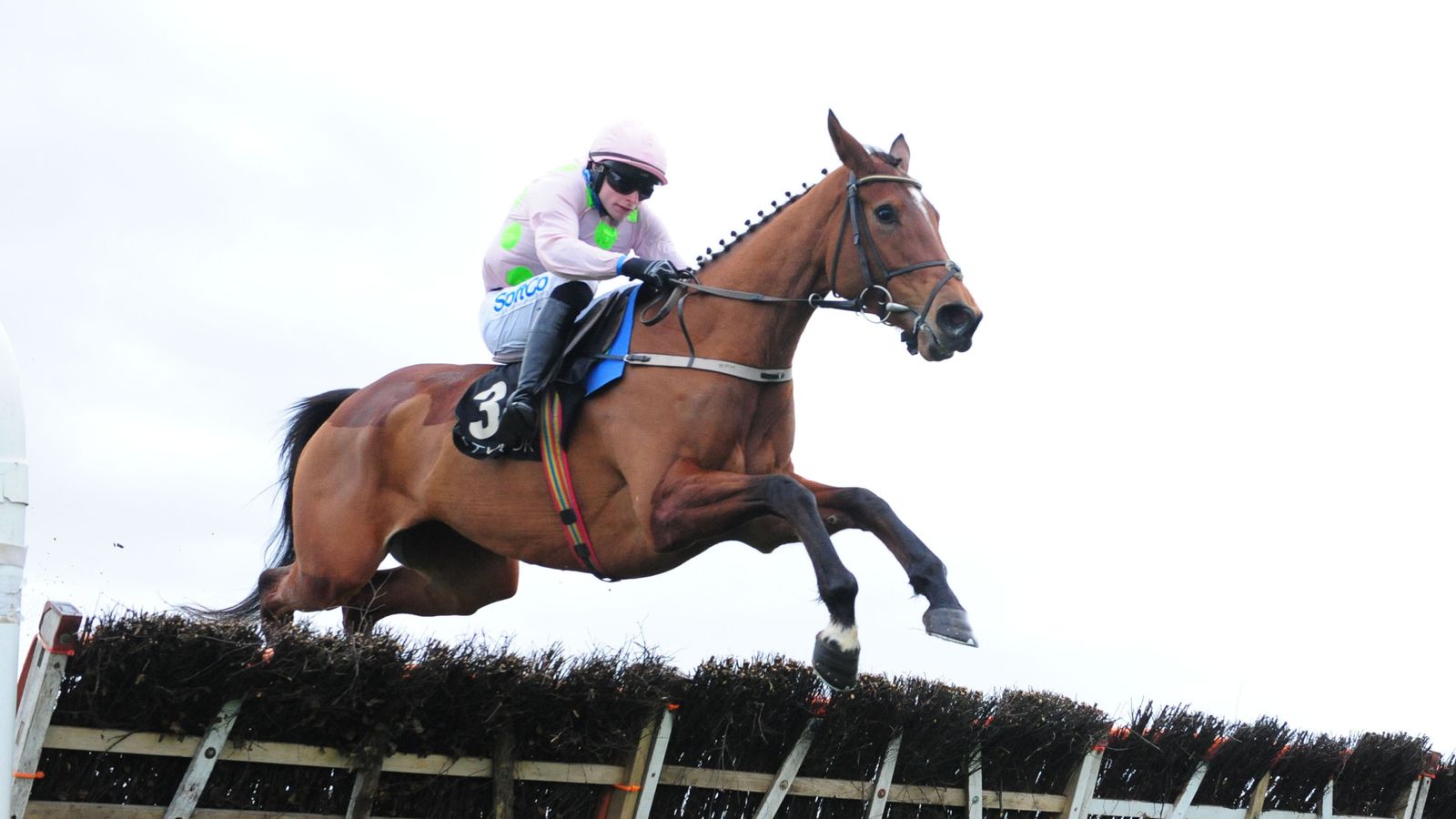 Cheltenham Festival: Former Mares’ Novices’ Hurdle favourite Allegorie De Vassy ruled out with injury