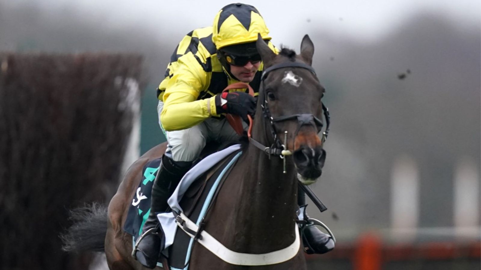Clarence House Chase: Shishkin powers past Energumene to land Ascot clash for the ages