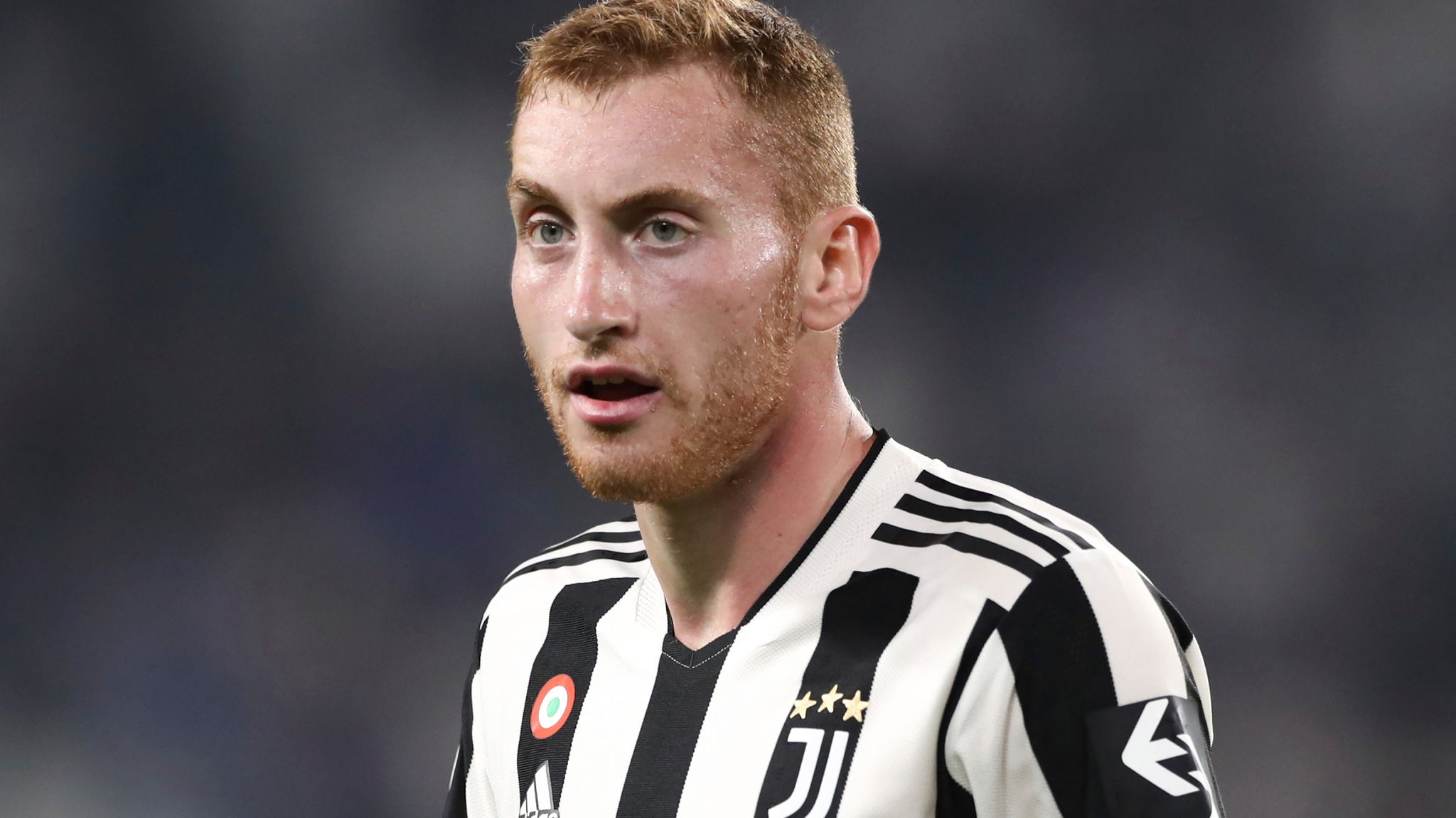 I fare fjerkræ Snor Dejan Kulusevski: Tottenham in talks with Juventus over signing Swedish  winger on loan | Transfer Centre News | Sky Sports