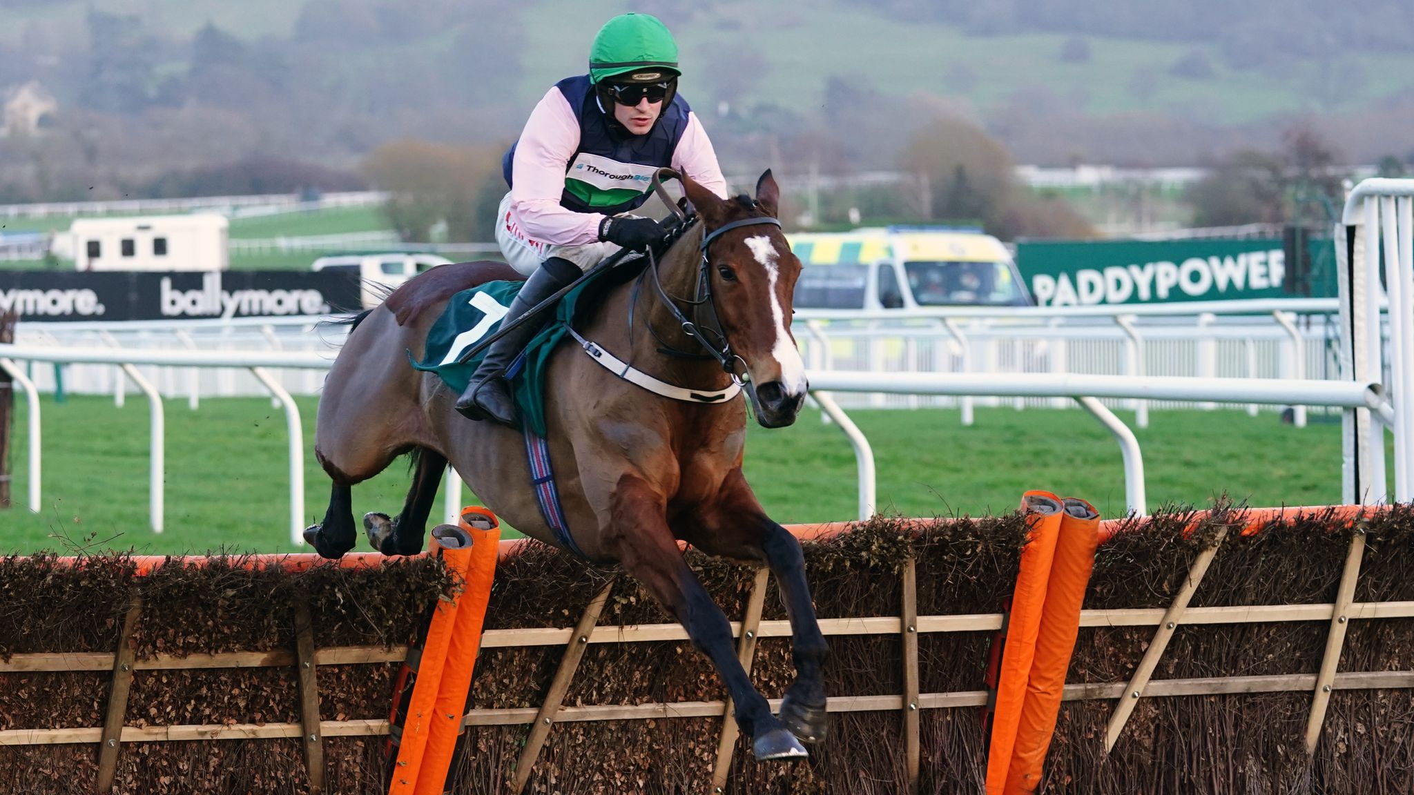 Relkeel hurdle betting on sports napoli torino betting online