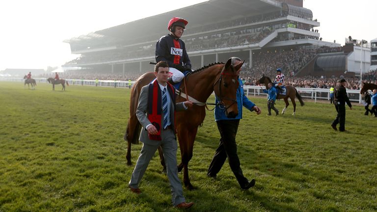 Bobs Worth ridden by jockey Barry Geraghty going to post prior to the Cheltenham Gold Cup 