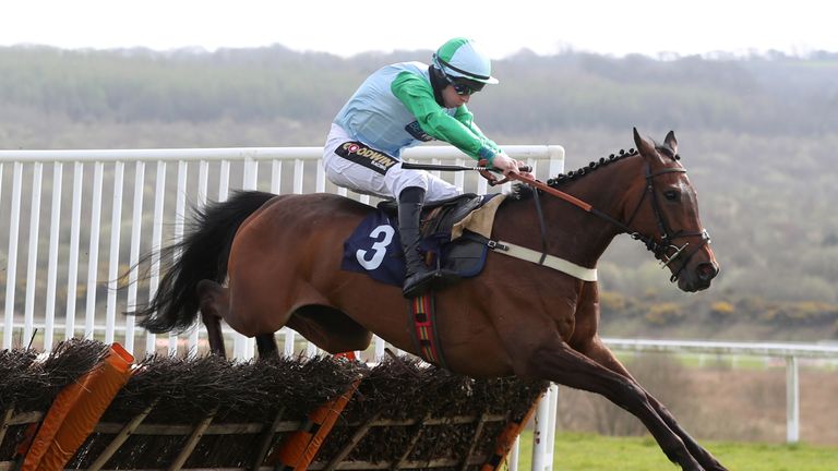 Up For Parol ridden by Gavin Sheehan