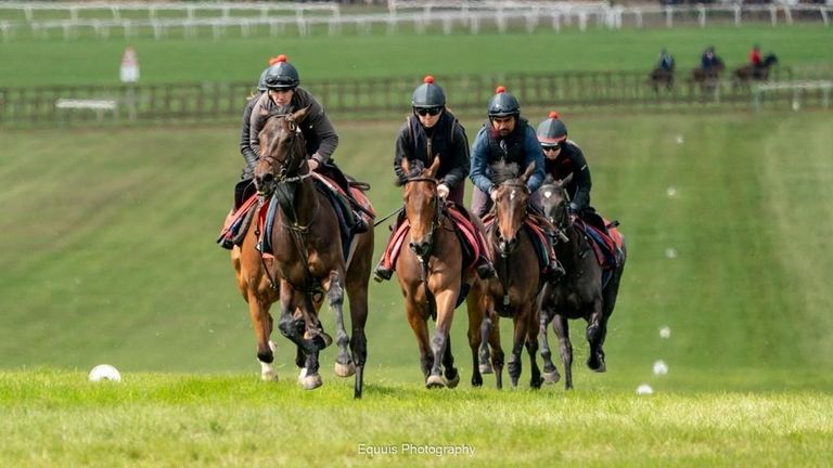 Alice Haynes looks set to send Mr Professor around the globe in order to bag a Group prize this season.