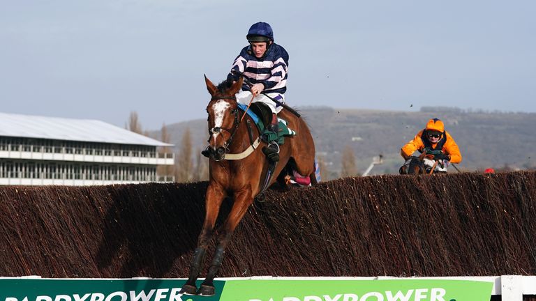 Full Back clears the last at Cheltenham under Jamie Moore
