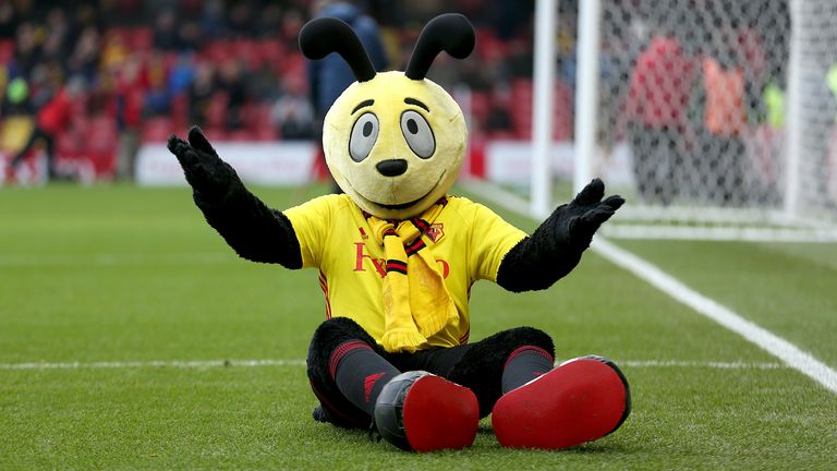 Watford mascot Harry the Hornet before kick-off in the Premier League match at Vicarage Road