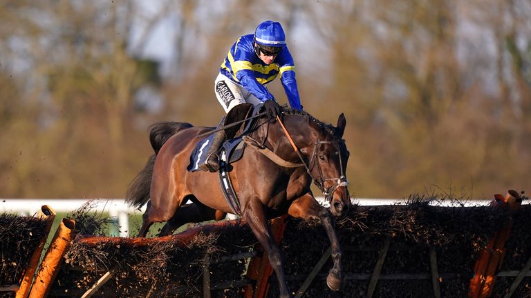 Holly Hartingo wins at Huntingdon under Jonathan Burke