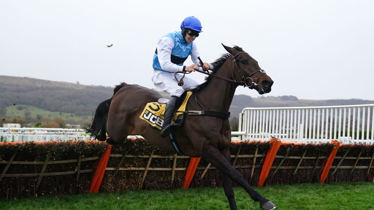 Nick Williams' Interne De Sivola on his way to victory at Cheltenham