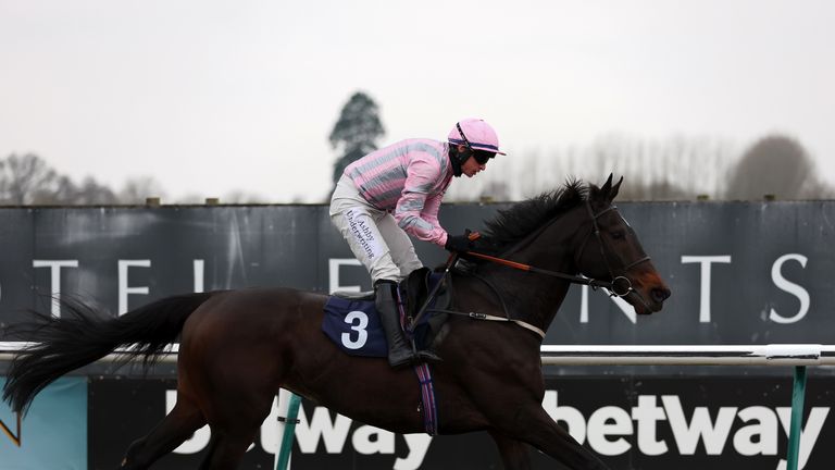 Nuestro bufón gana en Lingfield con Tom O'Brien