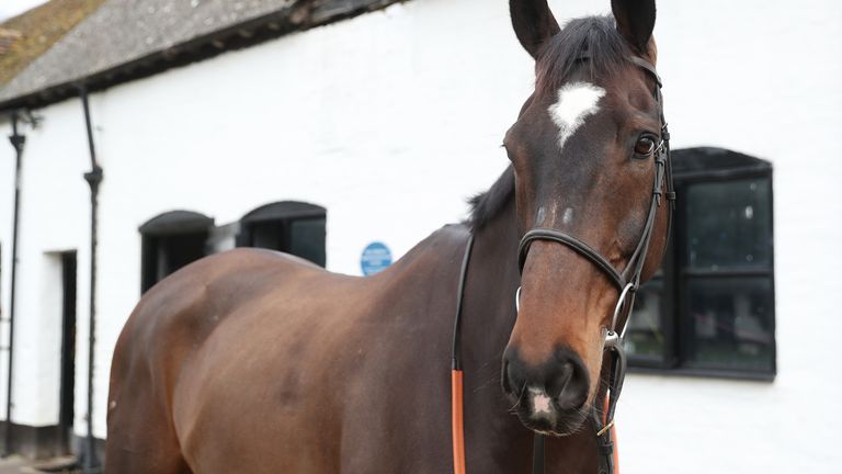 Santini ahora está con el patio de Polly Gundry tras dejar a Nicky Henderson