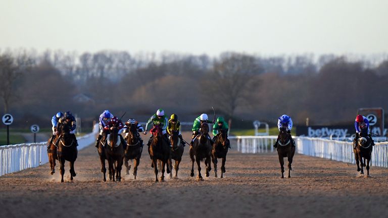 Southwell Flat all-weather racing general view