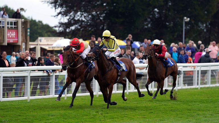 Unique Cut&#39;s (yellow cap) only victory to date came at Salisbury 