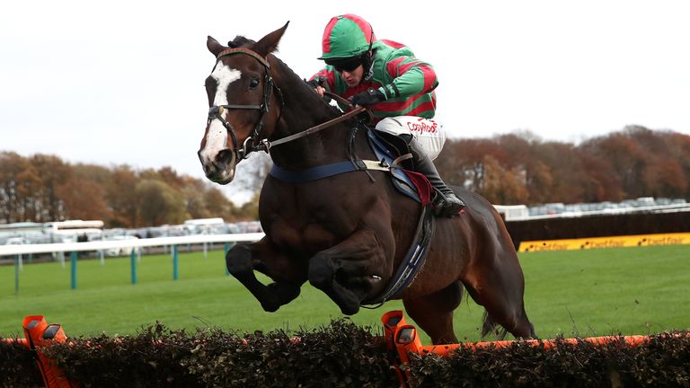 Tommys Oscar - Champion Hurdle hope