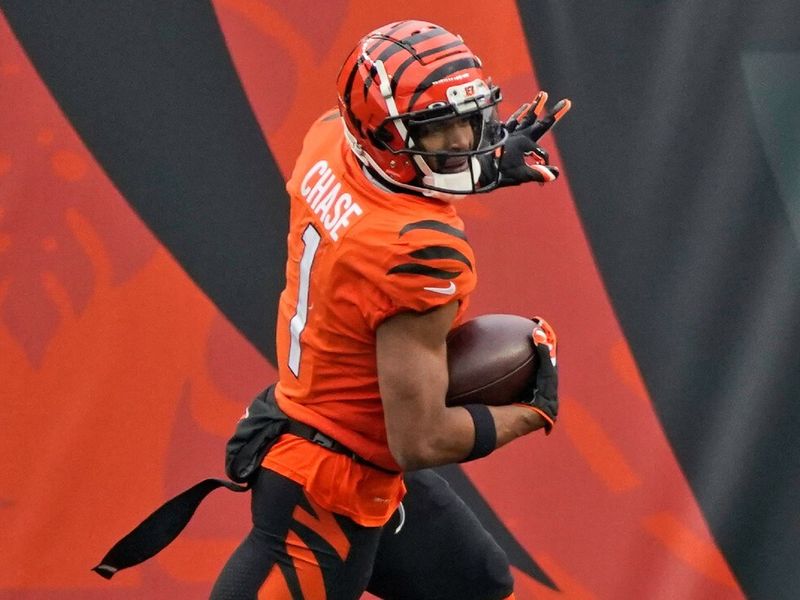 bengals chase young